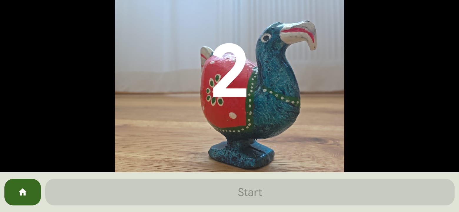 Countdown screen during a photo